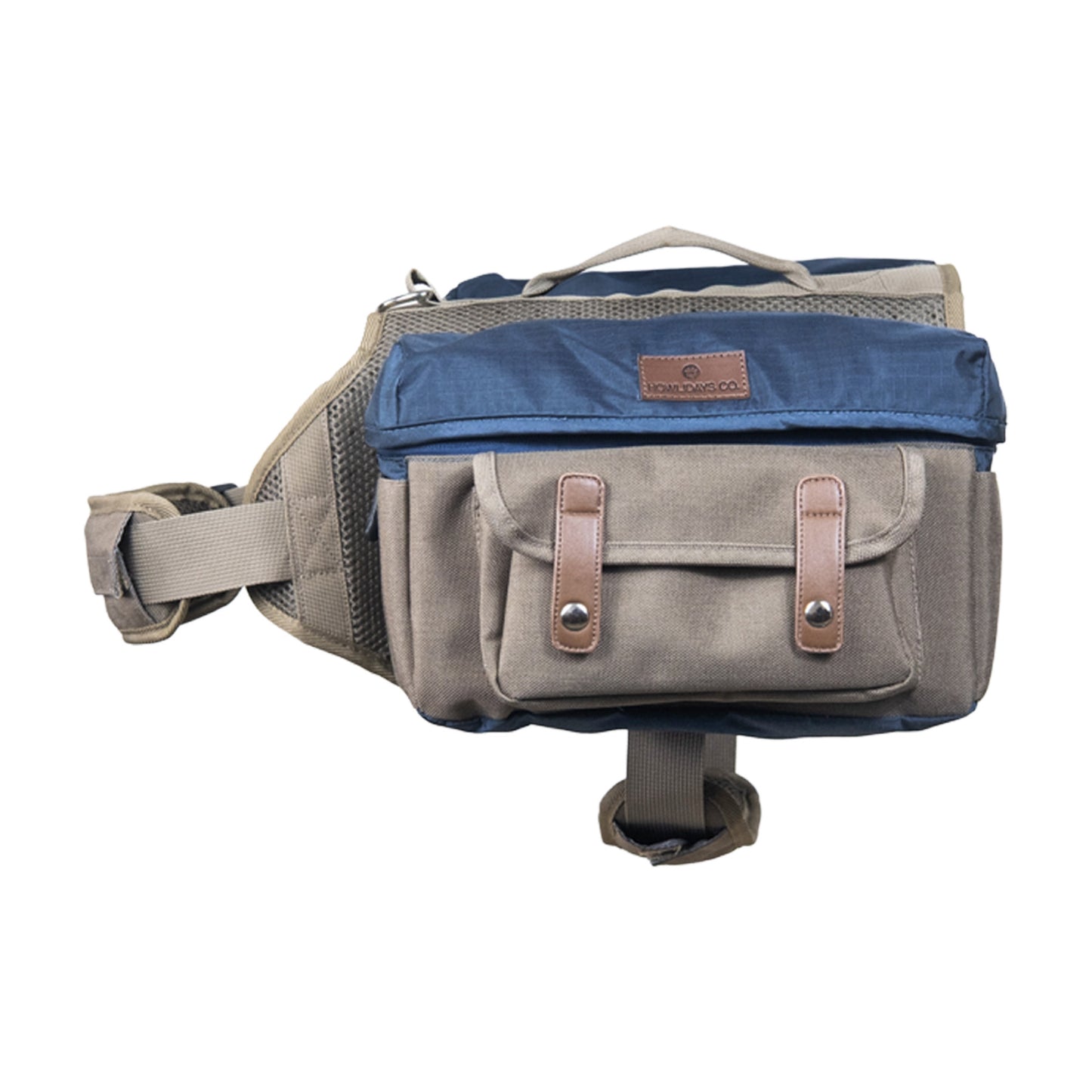 Cactus Creek Dog Backpack