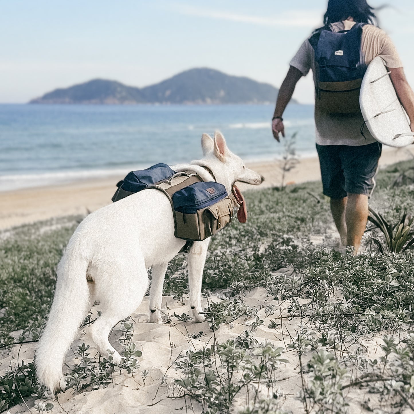 Cactus Creek Dog Backpack