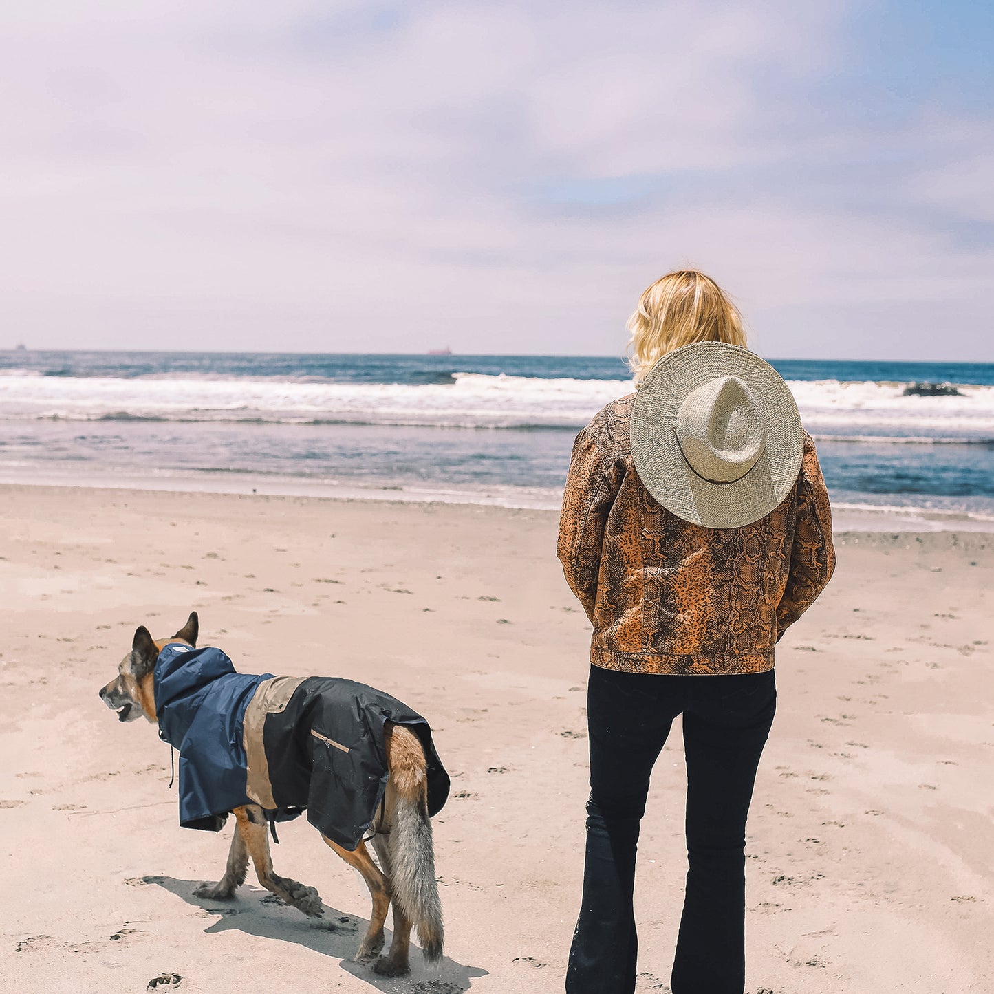 Dog wearing the Baja Coastline waterproof dog poncho, standing on the beach with its owner, gazing at the ocean, ready for any coastal adventure.