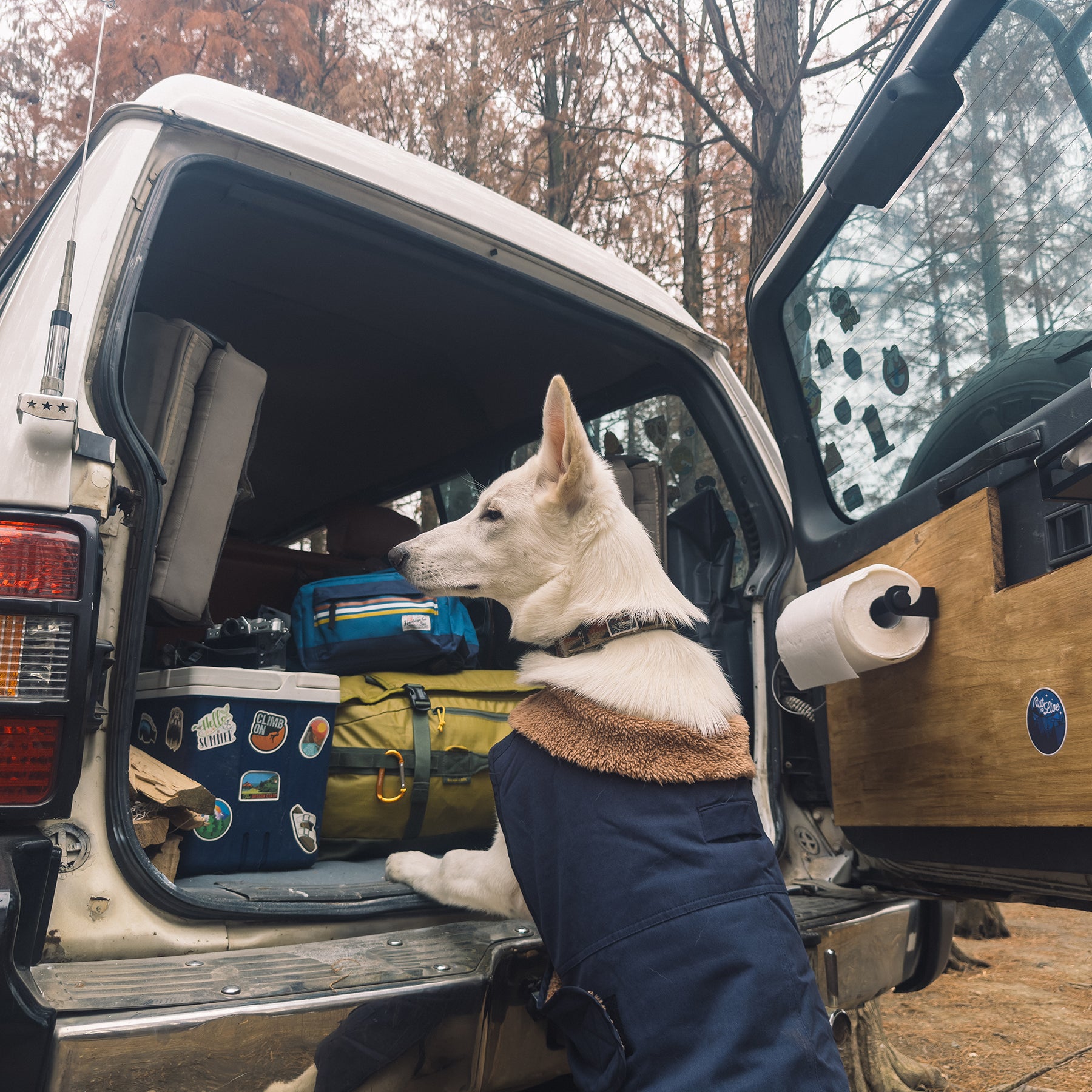 Stylish warmdog jacket with a sherpa-lined collar, keeping dogs warm during outdoor hikes and camping trips.